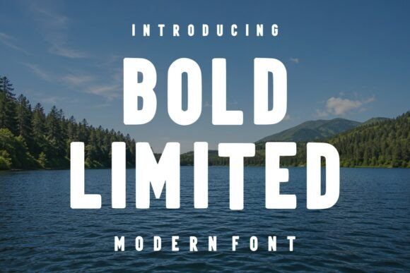 Bold Limited Typeface Review: Elevating Editorial Design
