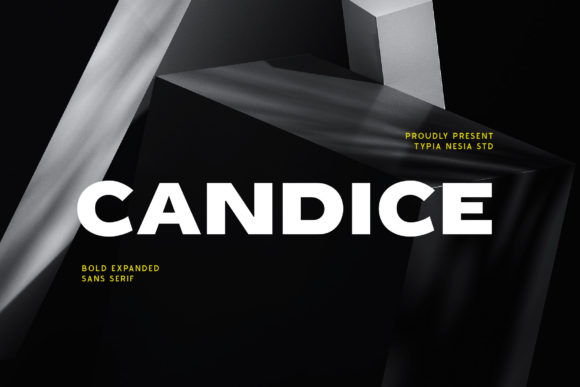Candice: The Modern Sans Serif Display Font for Editorial and Brand Design